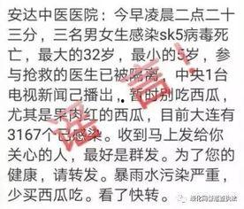 吃瓜不造谣的视频,网络舆论的清道夫